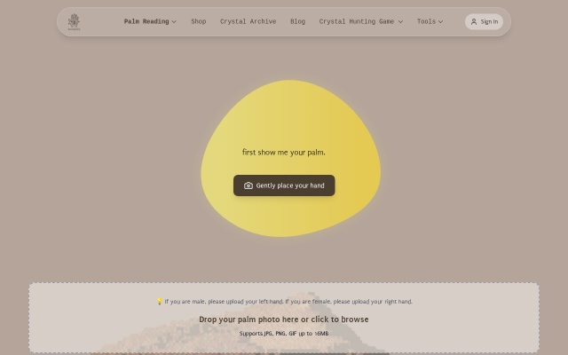 https://www.aurapalm.app/